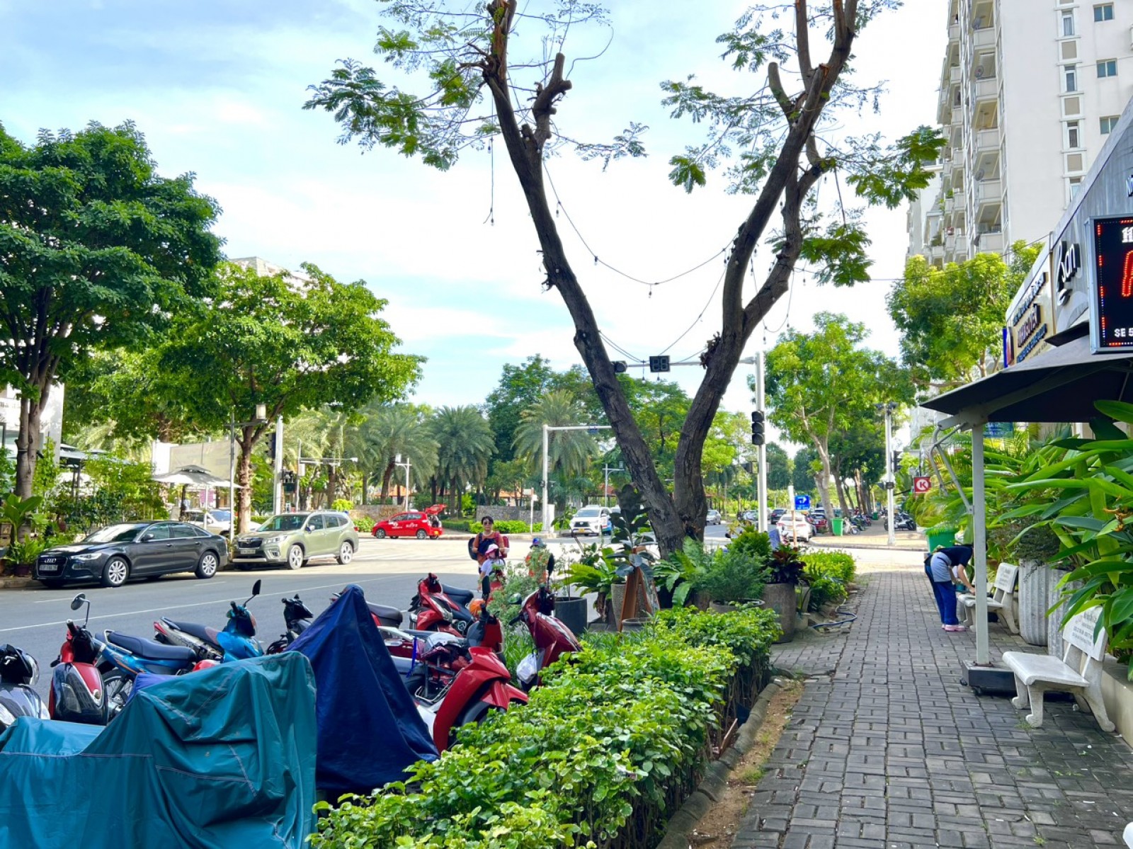 Bán shop kinh doanh khu Cảnh Viên, Đường C, 169m2, giá 22 tỷ - 10032