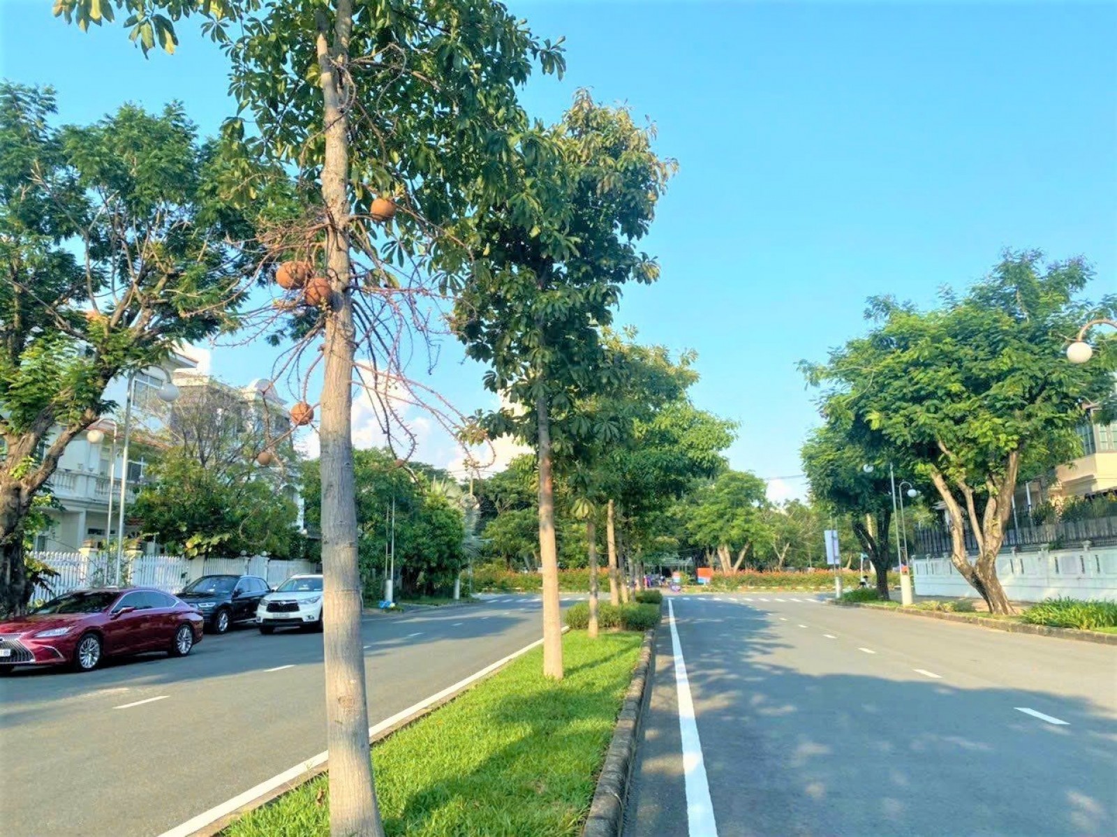 Cô bán biệt thự song lập mỹ hào đường hà huy tập, cạnh cầu ánh sao - 10729